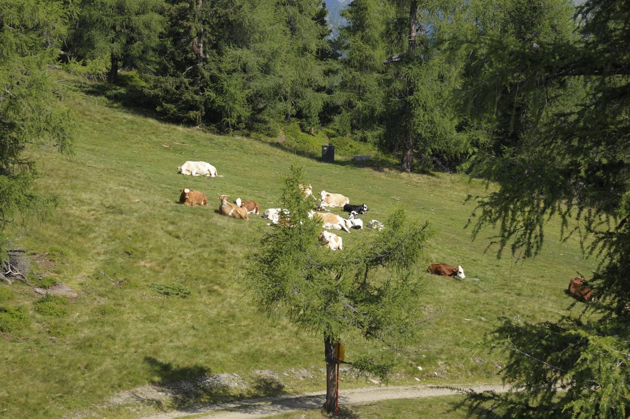 Chaletdorf-Fanningberg Weisspriach Exteriör bild