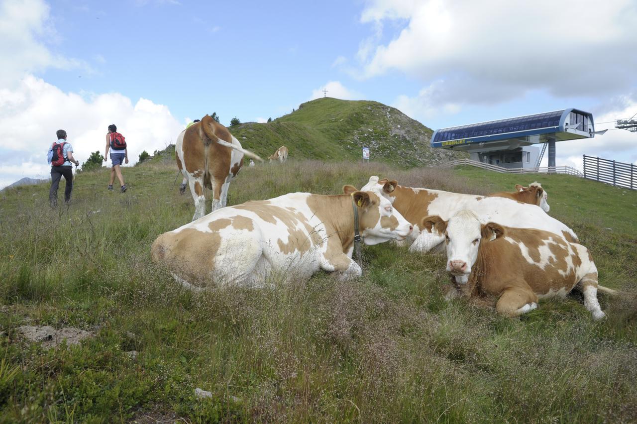 Chaletdorf-Fanningberg Weisspriach Exteriör bild