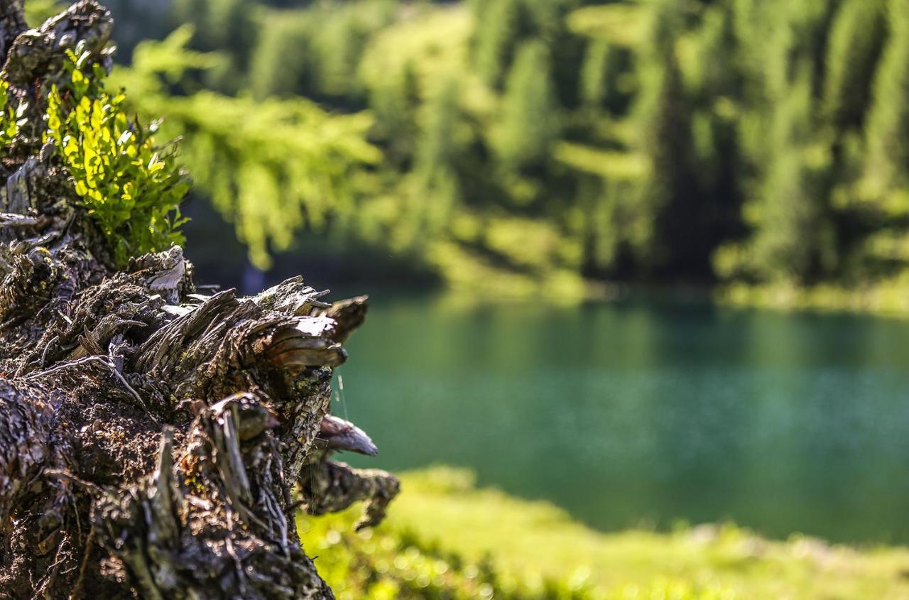 Chaletdorf-Fanningberg Weisspriach Exteriör bild